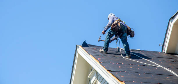 Sealant for Roof in Hallstead, PA